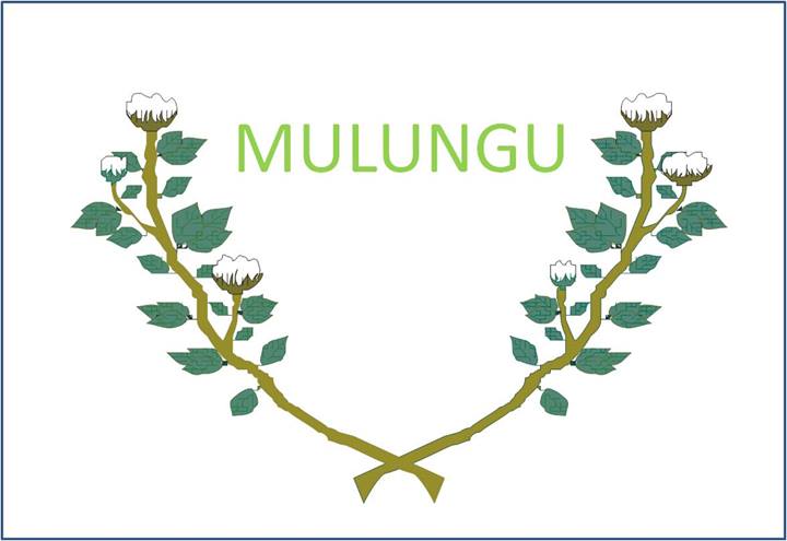Bandeira_Mulungu_PB